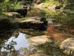 -上海滨江森林公园