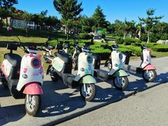 -养马岛旅游度假区