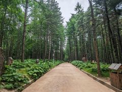 -洛阳白云山景区