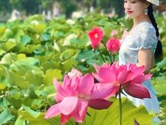 -嘉北郊野公园