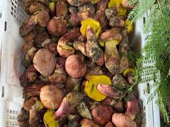 -双喜农庄·菌香园(安居家园店)