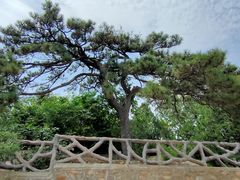 -北京西山国家森林公园