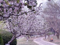 -元大都城垣遗址公园