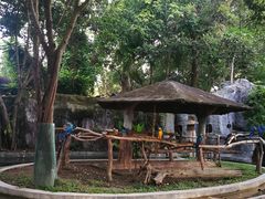 -清迈夜间动物园