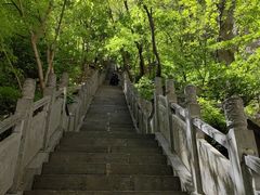 -洛阳白云山景区