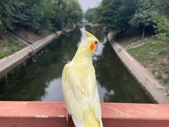 -中农大我爱我爱动物医院(甜水园店)