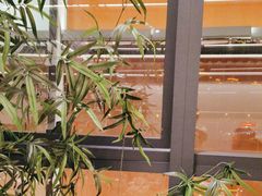 -小菜园新徽菜(南京秦淮龙蟠汇店)