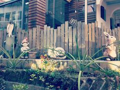 -有猫主题·治愈系猫咖(曾厝垵店)