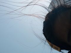 -长春公园(普阳街道)