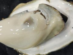 特色炊蚝-大富蚝乌东哥饭店·石锅鱼杂·柠檬鸭(革新路店)