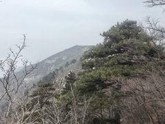 -大芦花风景区