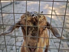 -金稼园·金平湖农家菜