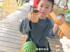 -前小桔亲子创意农场·草莓采摘·露营烧烤