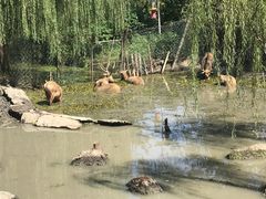 -溱湖国家湿地公园