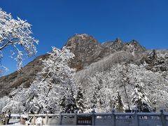 -陕西省红河谷森林公园