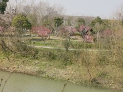 -柳鹭田园区