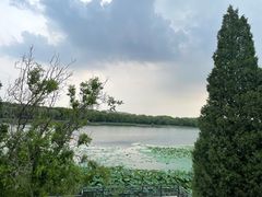-素心小筑(后沙裕镇店)