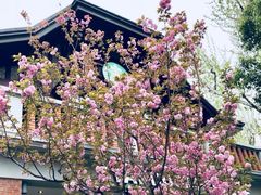 -星巴克臻选(思南公馆店)