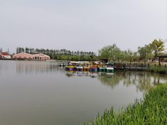 -上海长兴岛郊野公园