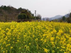 -黄陂区野村谷景区
