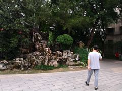 -莲湖公园