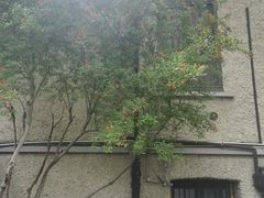-上海蔡元培故居陈列馆