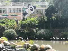 -石排湾郊野公园