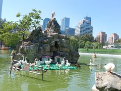 -团结湖公园