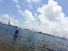 -碧海金沙