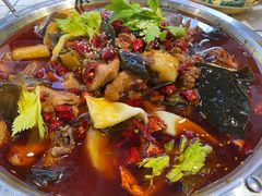 肥肠鸡（小锅）-晓彭肥肠鸡·泡椒鸡火锅(水木天地店)