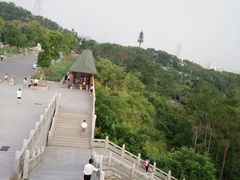 -仙岳公园