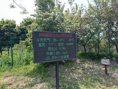 -同里国家湿地公园