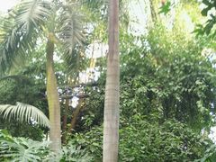 -祥源·阜阳生态乐园