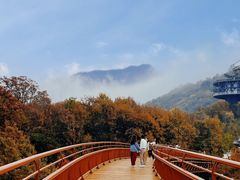 -少华山国家森林公园