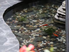 -上席擂茶·新中式青年茶馆(古城店)