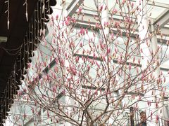 -证大大拇指广场(芳甸路店)