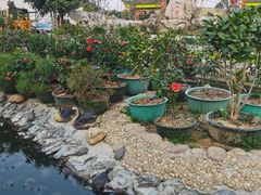 -八景休閒山莊  廣東十大名山莊