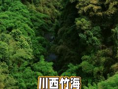 -川西竹海景区