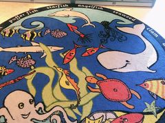 -浦鸿会游泳健身中心·Ambassy Club PD(金桥碧云国际社区店)