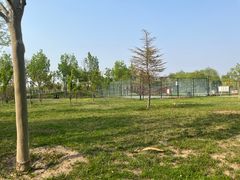 -瀛海足球主题公园