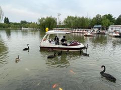 -天津水上公园