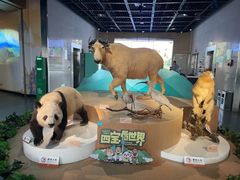 -陕西自然博物馆