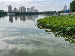 -莲花池公园