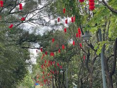 -神光山国家森林公园