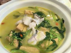 -刘胖子家常菜·蹄花焖藕(中南店)