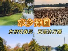 -西溪国家湿地公园