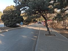 -北陵公园