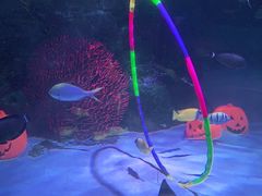 -沈阳海洋探索中心