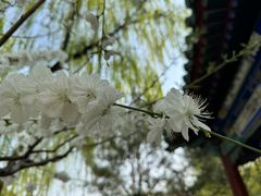-月坛公园