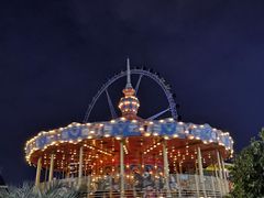 -锦江乐园舞狸花花游园会(夜场专享)